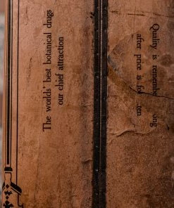 Antiques Antiques&Collectibles Early '900 Belladonna Leaves Pharmaceutical Tin By J. L. Hopkins Co. - New York