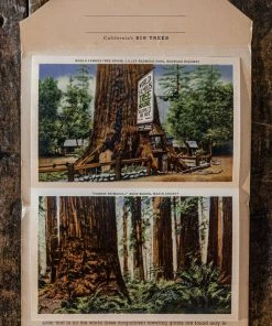 Antiques 1930/40's Lot N°1 - 3 Linen Souvenir Postcard Folders 21 Antiques 1930/40's Lot N°1 - 3 Linen Souvenir Postcard Folders