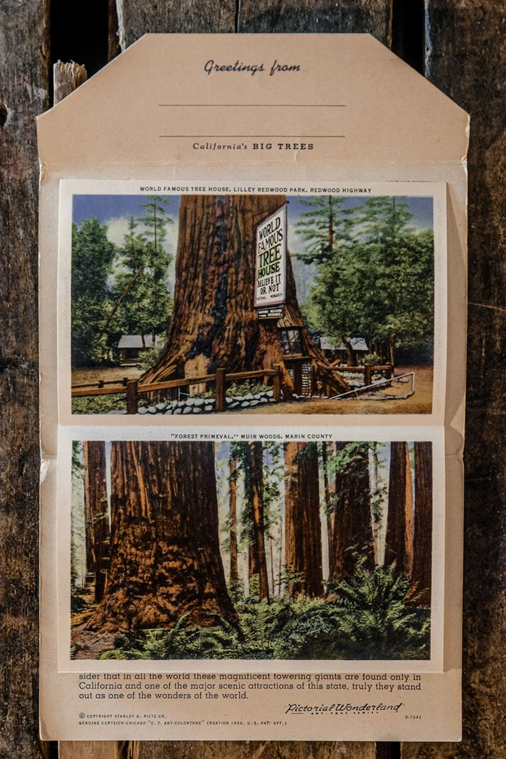 Antiques 1930/40's Lot N°1 - 3 Linen Souvenir Postcard Folders 12 Antiques 1930/40's Lot N°1 - 3 Linen Souvenir Postcard Folders