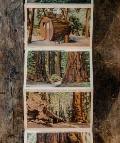 Antiques 1930/40's Lot N°1 - 3 Linen Souvenir Postcard Folders