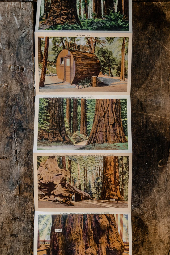 Antiques 1930/40's Lot N°1 - 3 Linen Souvenir Postcard Folders 4 Antiques 1930/40's Lot N°1 - 3 Linen Souvenir Postcard Folders