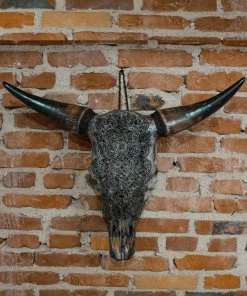 Antiques Antiques&Collectibles Hand Engraved Gray Bull Skull With Unique Horns