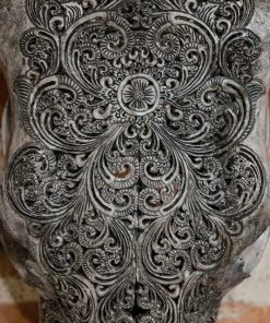 Antiques Antiques&Collectibles Hand Engraved Gray Bull Skull With Unique Horns