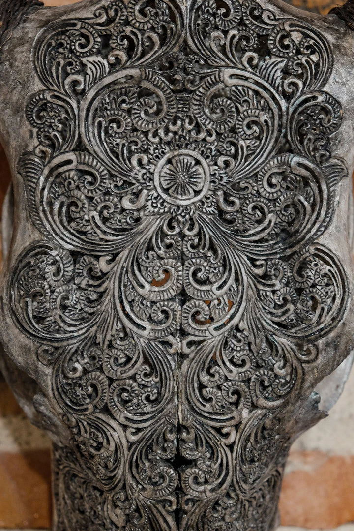 Antiques Antiques&Collectibles Hand Engraved Gray Bull Skull With Unique Horns 4 Antiques Antiques&Collectibles Hand Engraved Gray Bull Skull With Unique Horns